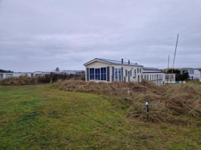 Duinviool